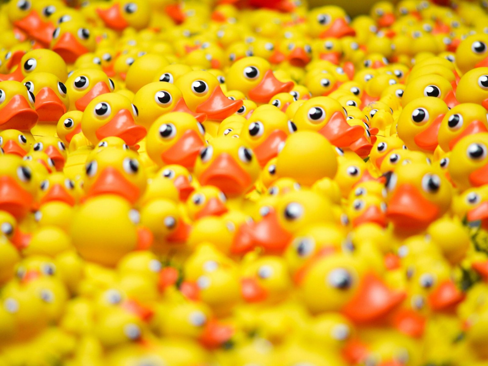 Souhaitez-vous ajouter quelque chose ?